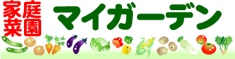サイト・タイトル